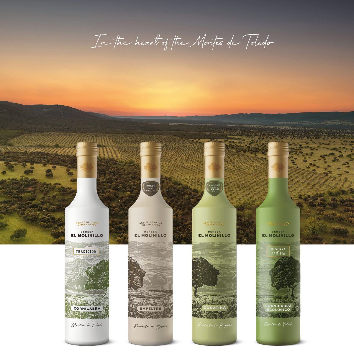 Dehesa el Molinillo. Finca de Olivos.