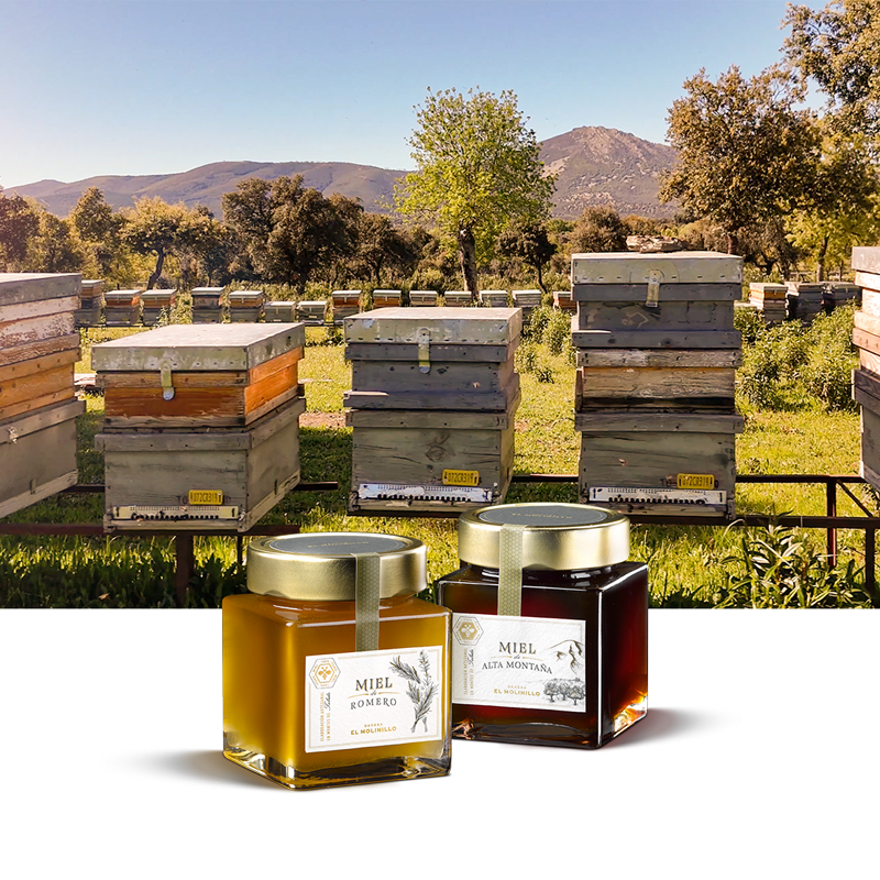 Dehesa el Molinillo. Finca de Olivos.