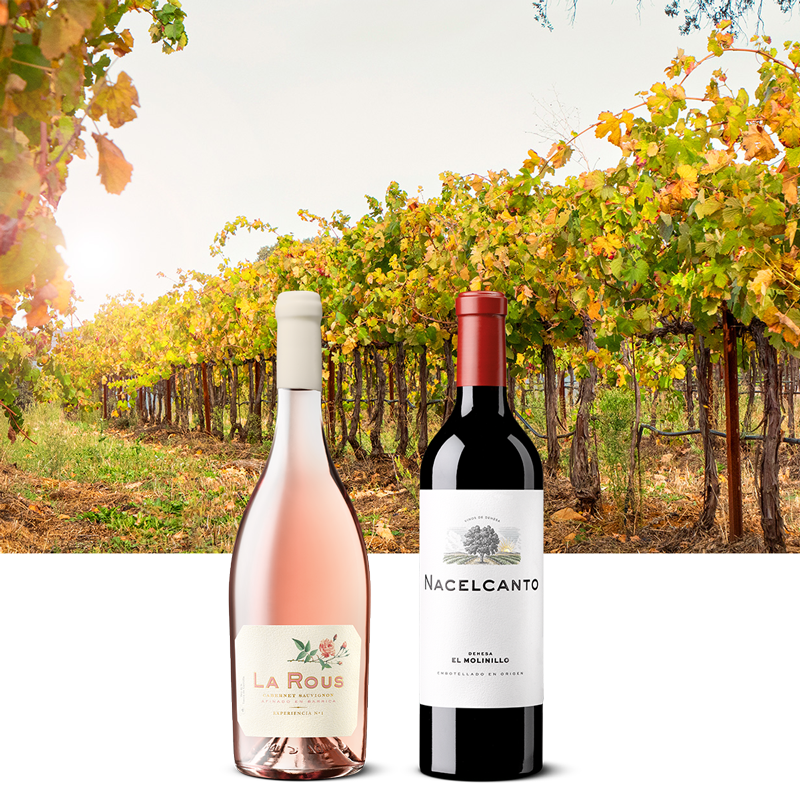 Dehesa el Molinillo. Finca de Olivos.